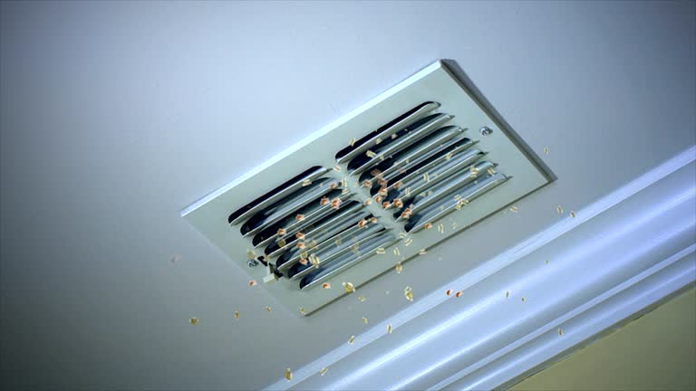 Best Emergency Air Duct Cleaning  in Bull Valley, IL
