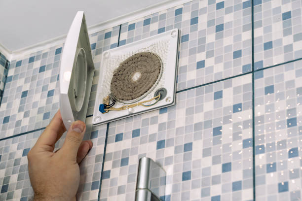 Best Air Vent Cleaning Services  in Bull Valley, IL